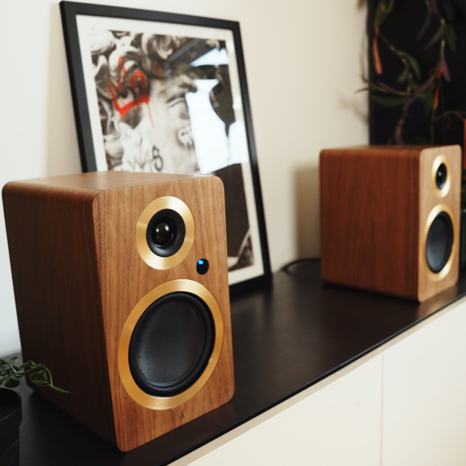 #color_walnut